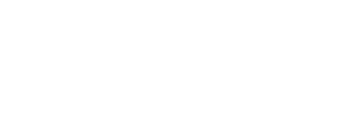 NexGard Combo